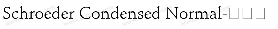 Schroeder Condensed Normal字体转换